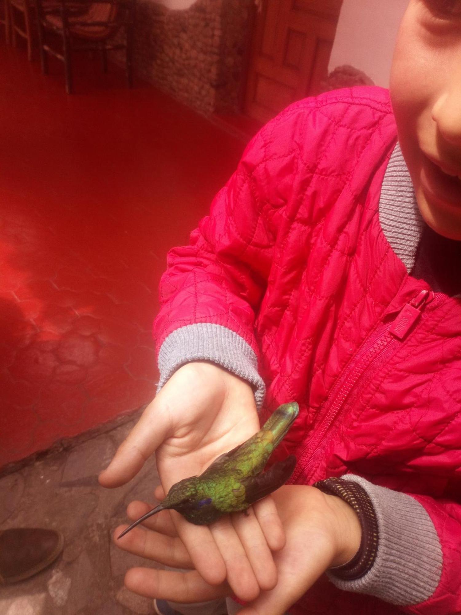 Ecolodge Ccatan Urubamba Zewnętrze zdjęcie
