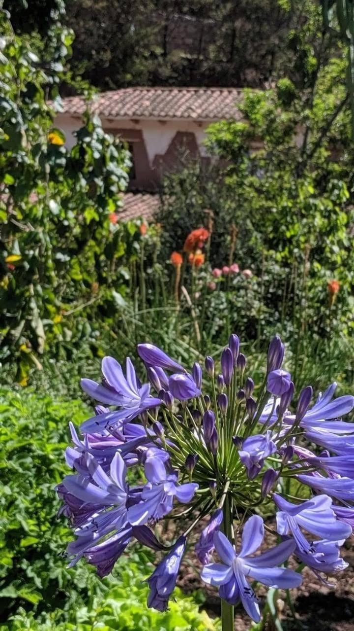 Ecolodge Ccatan Urubamba Zewnętrze zdjęcie