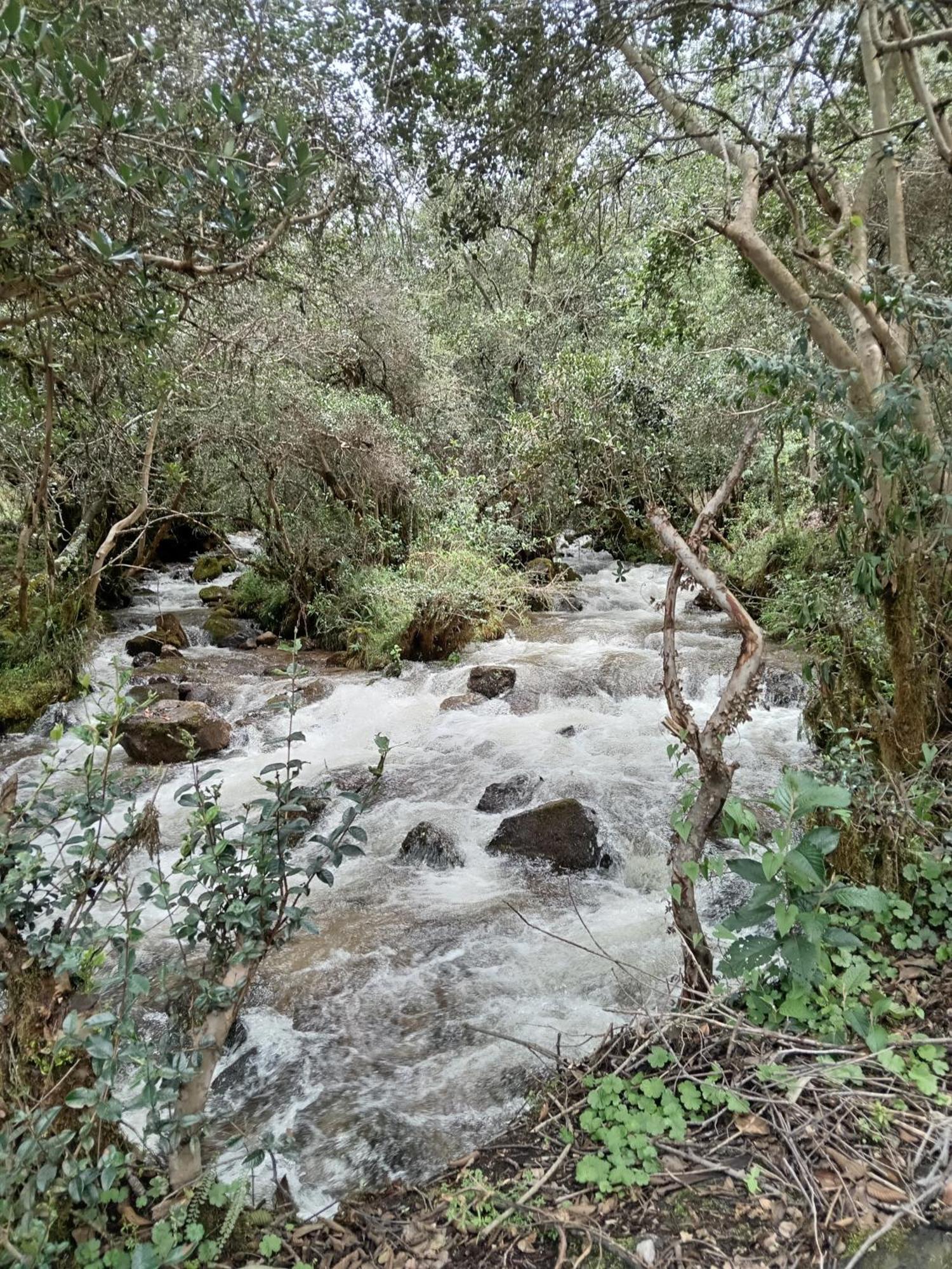 Ecolodge Ccatan Urubamba Zewnętrze zdjęcie